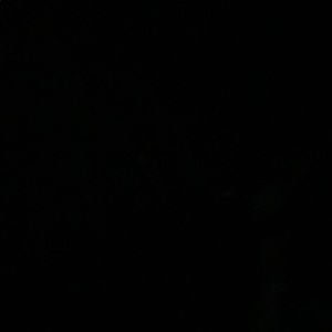 Meet your Posher, Lorenzo